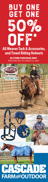 Weaver Tack digital skyscraper ad